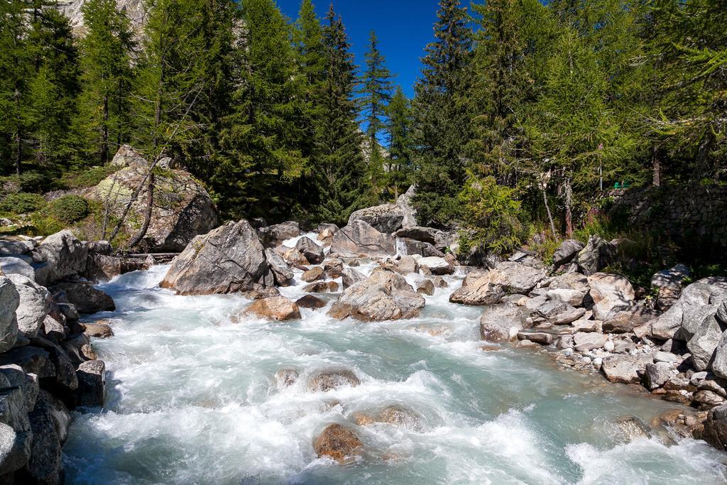 Hotel Lo Scoiattolo Courmayeur Dış mekan fotoğraf
